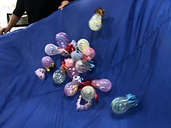 海の仲間